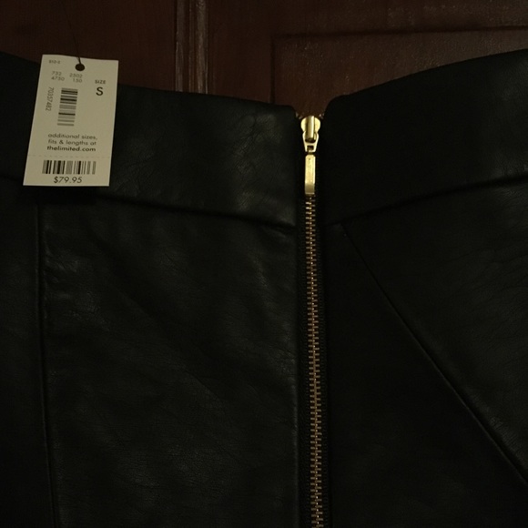 NWT Faux Leather A-Line Skirt - Picture 5 of 6